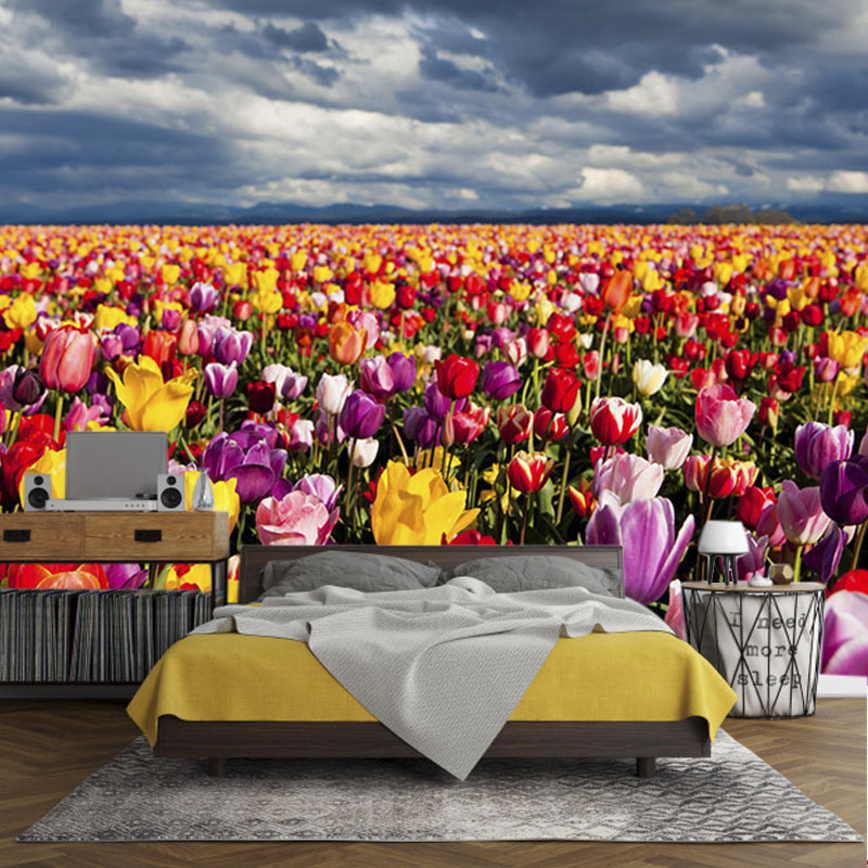 Ταπετσαρία χώρου με Field with tulips